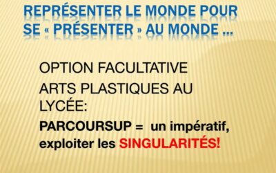 Options Arts Plastiques Lycée et ParcourSup