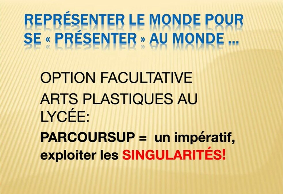 Options Arts Plastiques Lycée et ParcourSup